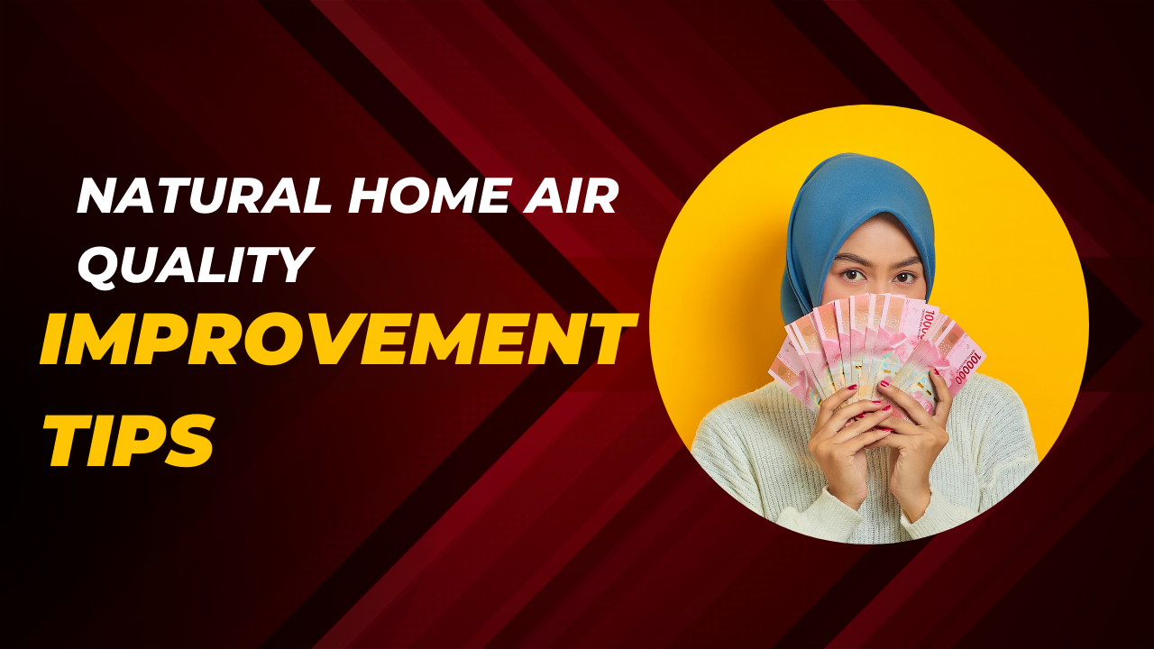 Natural Home Air Quality Improvement Tips